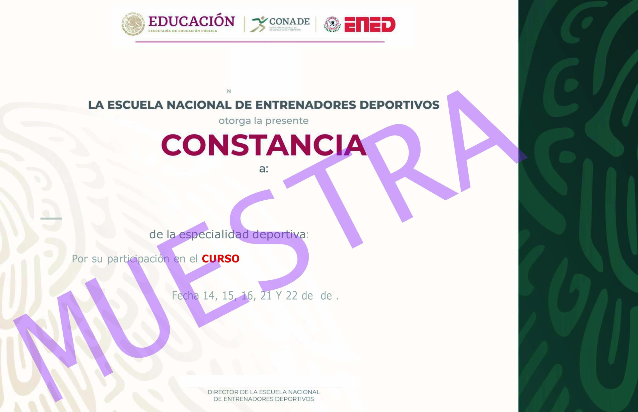 Constancia Oficial Cursos